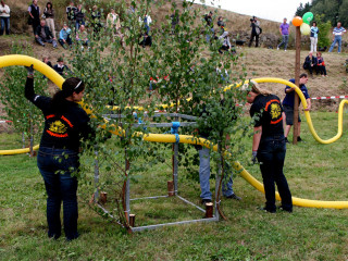 Foto 35104 im Album