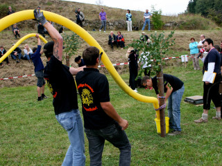 Foto 35105 im Album
