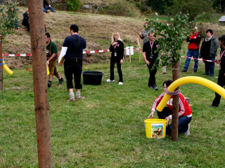 Foto 35146 im Album