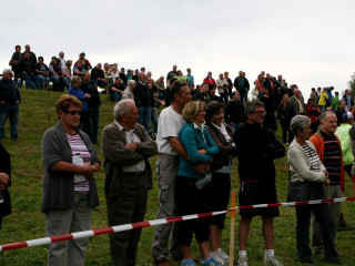 Foto 35151 im Album