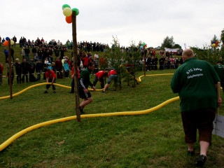Foto 35158 im Album