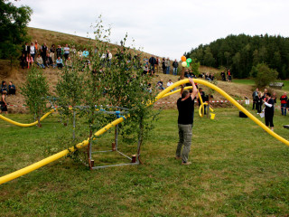 Foto 35184 im Album