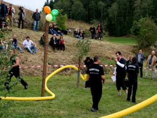 Vorschau des nächsten Fotos