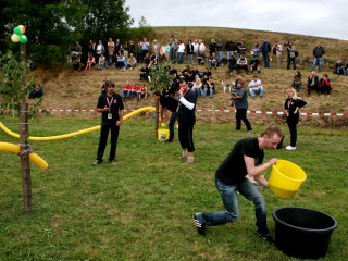 Foto 35197 im Album
