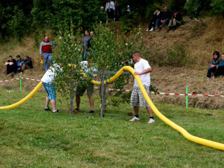 Foto 35220 im Album