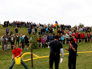 Foto 35231 im Album