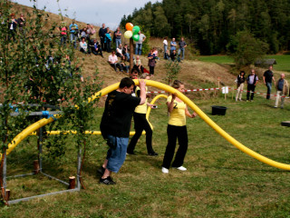 Foto 35261 im Album