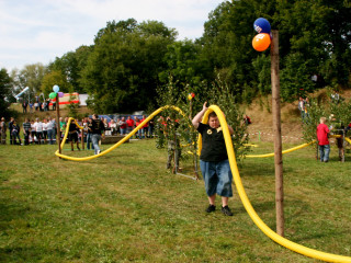 Foto 35264 im Album
