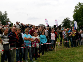 Foto 35275 im Album