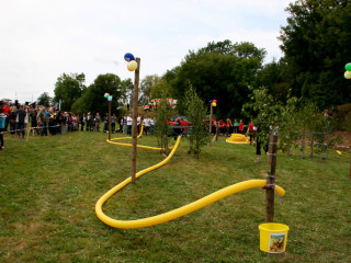Foto 35277 im Album