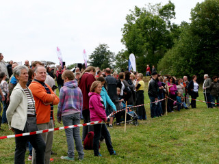 Foto 35279 im Album