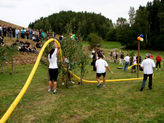 Foto 35289 im Album
