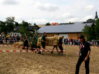 Foto 35566 im Album