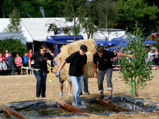 Foto 35569 im Album