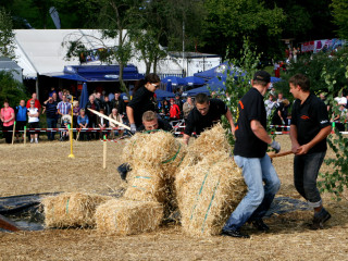 Vorschau des vorherigen Fotos