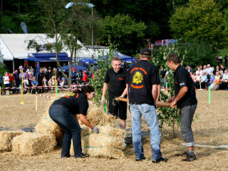 Foto 35571 im Album
