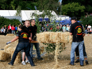 Foto 35572 im Album