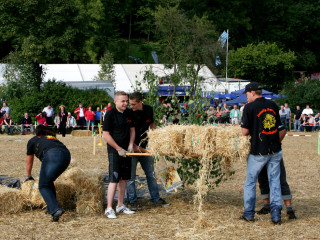 Foto 35573 im Album