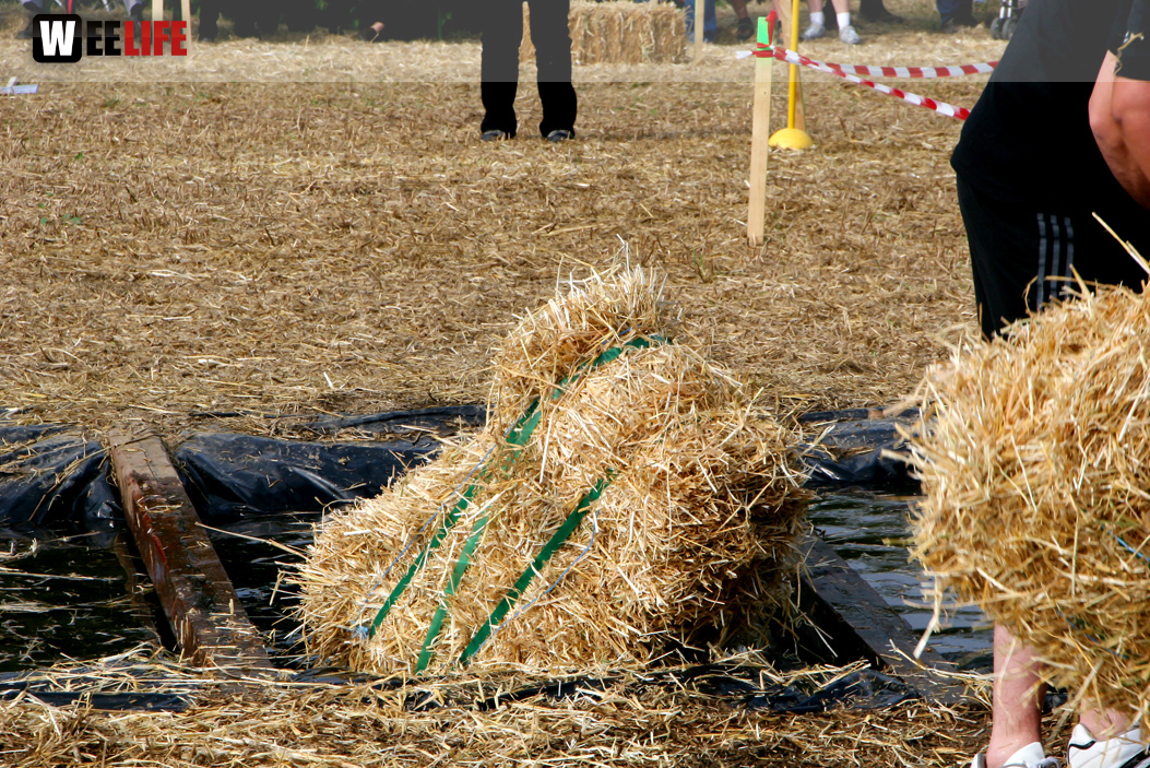 Hochfrankenspiele 2012