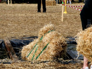 Foto 35574 im Album