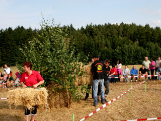 Foto 35575 im Album