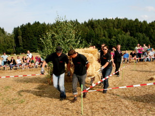 Foto 35576 im Album