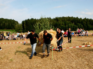 Foto 35577 im Album