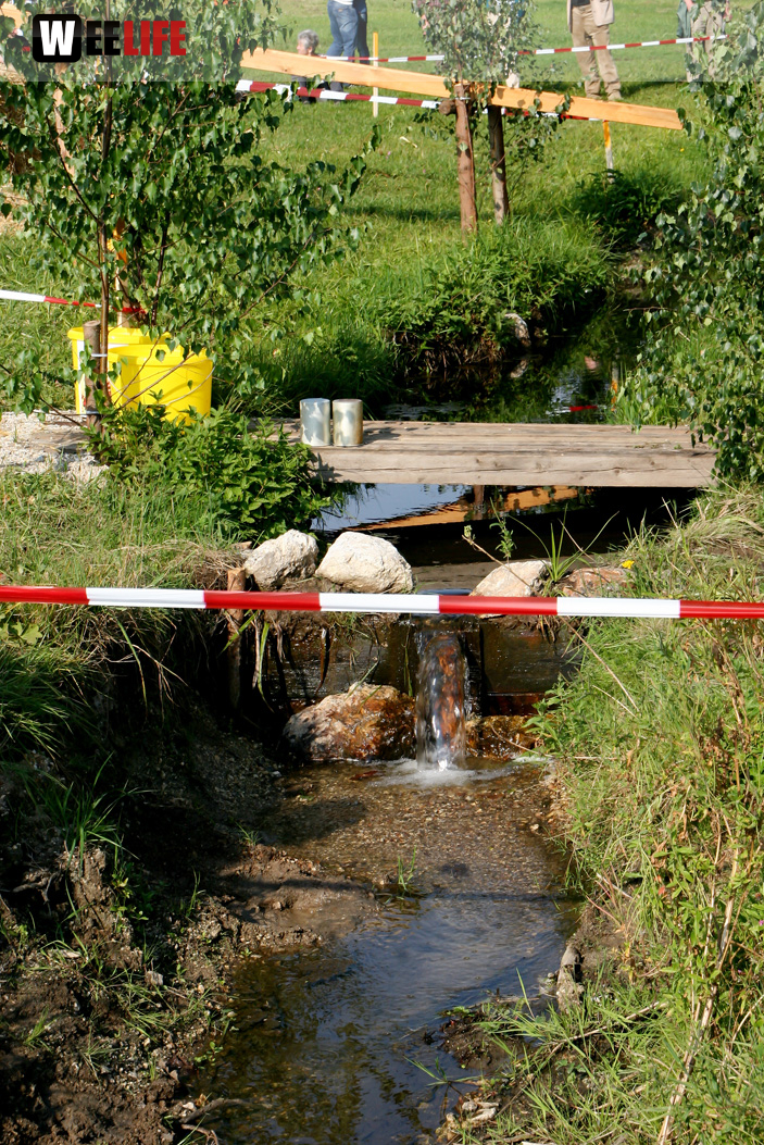 Hochfrankenspiele 2012