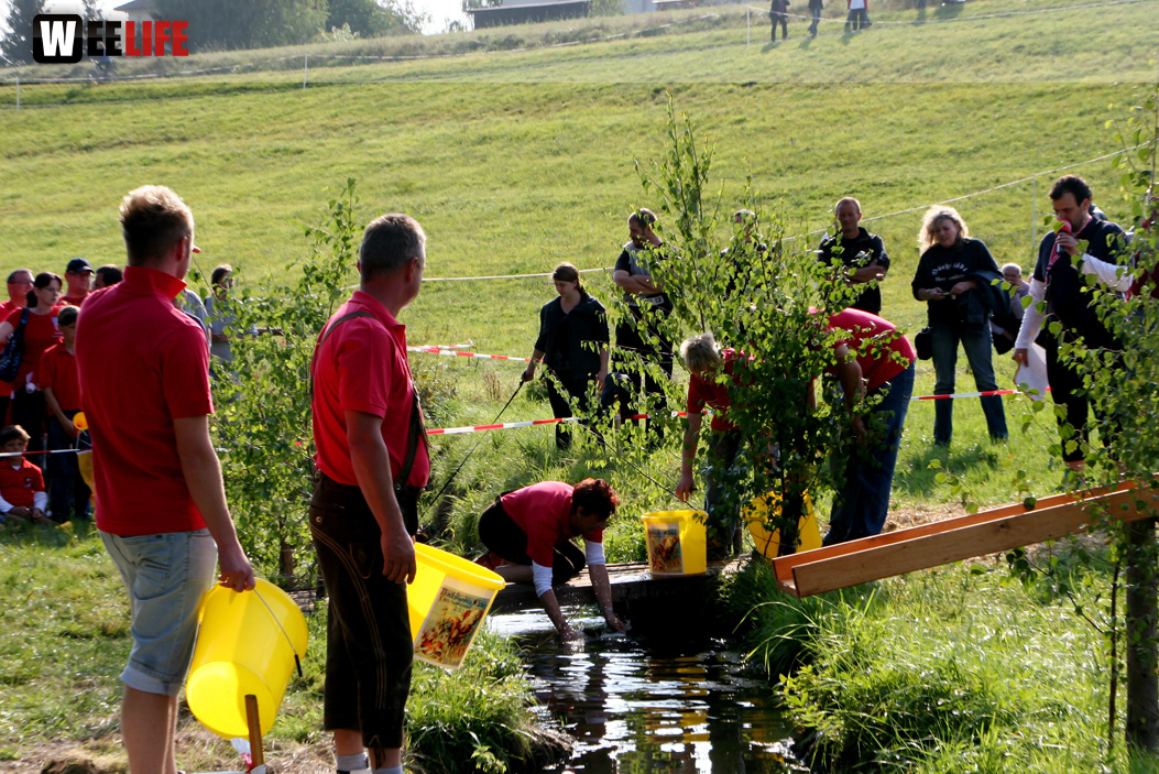Hochfrankenspiele 2012