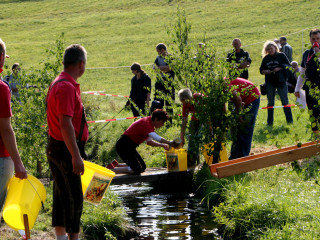 Foto 35595 im Album