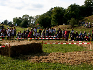 Foto 35596 im Album