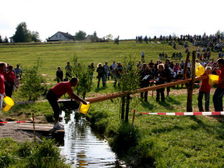 Foto 35598 im Album