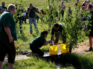 Foto 35618 im Album