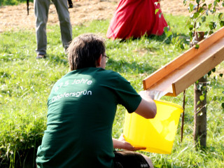 Foto 35621 im Album