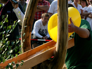 Foto 35631 im Album