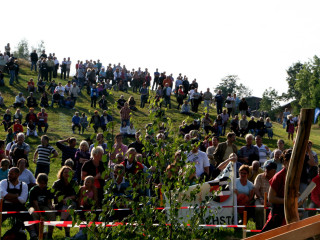 Foto 35641 im Album