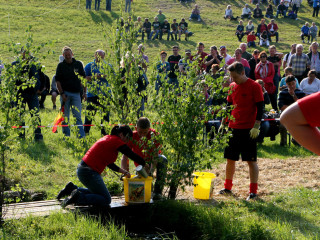 Foto 35646 im Album