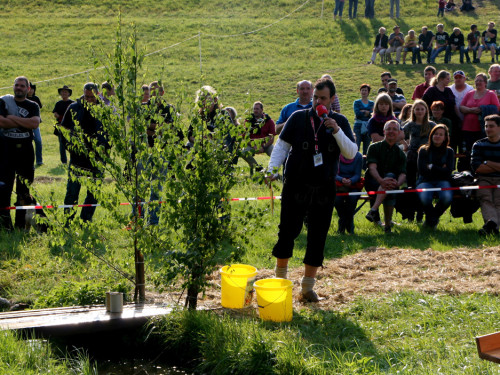 Hochfrankenspiele 2012 – Foto 84