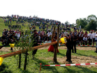 Foto 35669 im Album