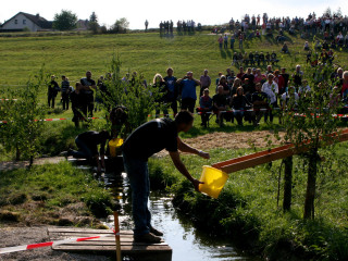 Foto 35671 im Album