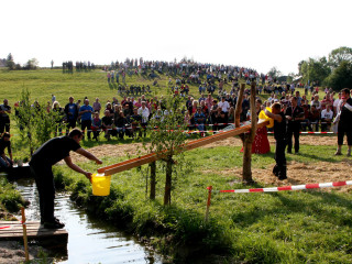 Foto 35674 im Album