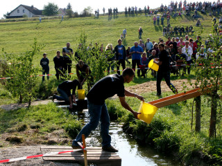 Foto 35676 im Album