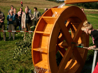 Foto 35679 im Album