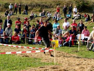 Foto 35685 im Album