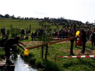 Foto 35687 im Album