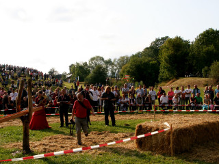 Foto 35693 im Album
