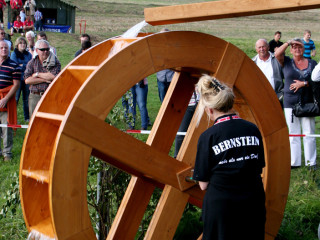 Foto 35755 im Album