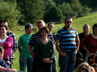 Foto 35818 im Album