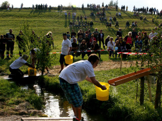 Foto 35836 im Album