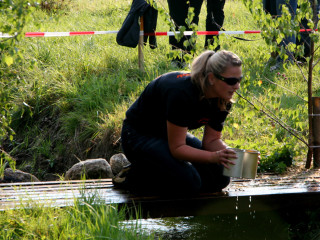 Foto 35849 im Album